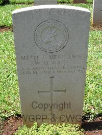 Dar Es Salaam War Cemetery - Gate, William Hasalden